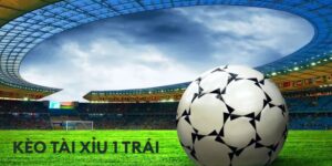 Kèo tài xỉu 1 trái là gì