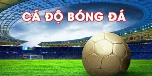 Trang Cá cược bóng đá uy tín